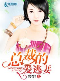 总裁爱妻逃婚记txt
