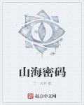 山海密码子可语