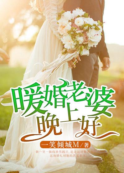 暖婚老婆晚上好电视剧全集免费观看