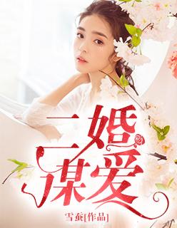 二婚宠爱
