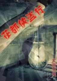 侠盗花十七